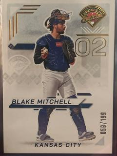 Blake Mitchell