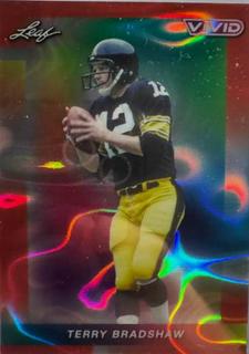 Terry Bradshaw