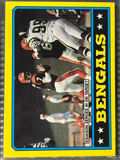 Bengals Team