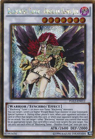 Blackwing Tamer - Obsidian Hawk Joe PGL2-EN012 YuGiOh Premium Gold: Return of the Bling