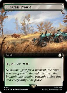 Sungrass Prairie