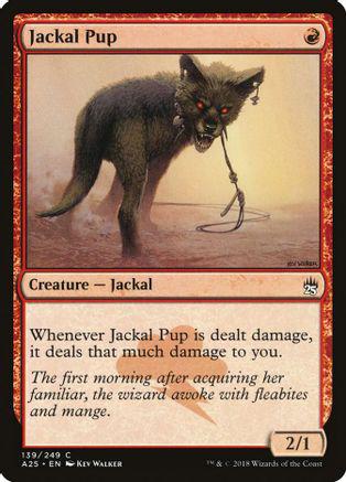 Jackal Pup Magic Masters 25