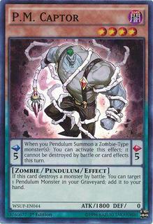 P.M. Captor WSUP-EN044