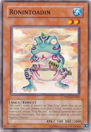 Ronintoadin TSHD-EN033 YuGiOh The Shining Darkness