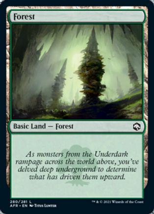 Forest Magic Adventures in the Forgotten Realms