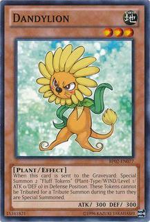 Dandylion BP02-EN077