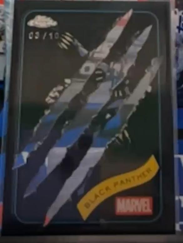 Black Panther Black Clawed