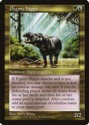 Pygmy Hippo Magic Visions