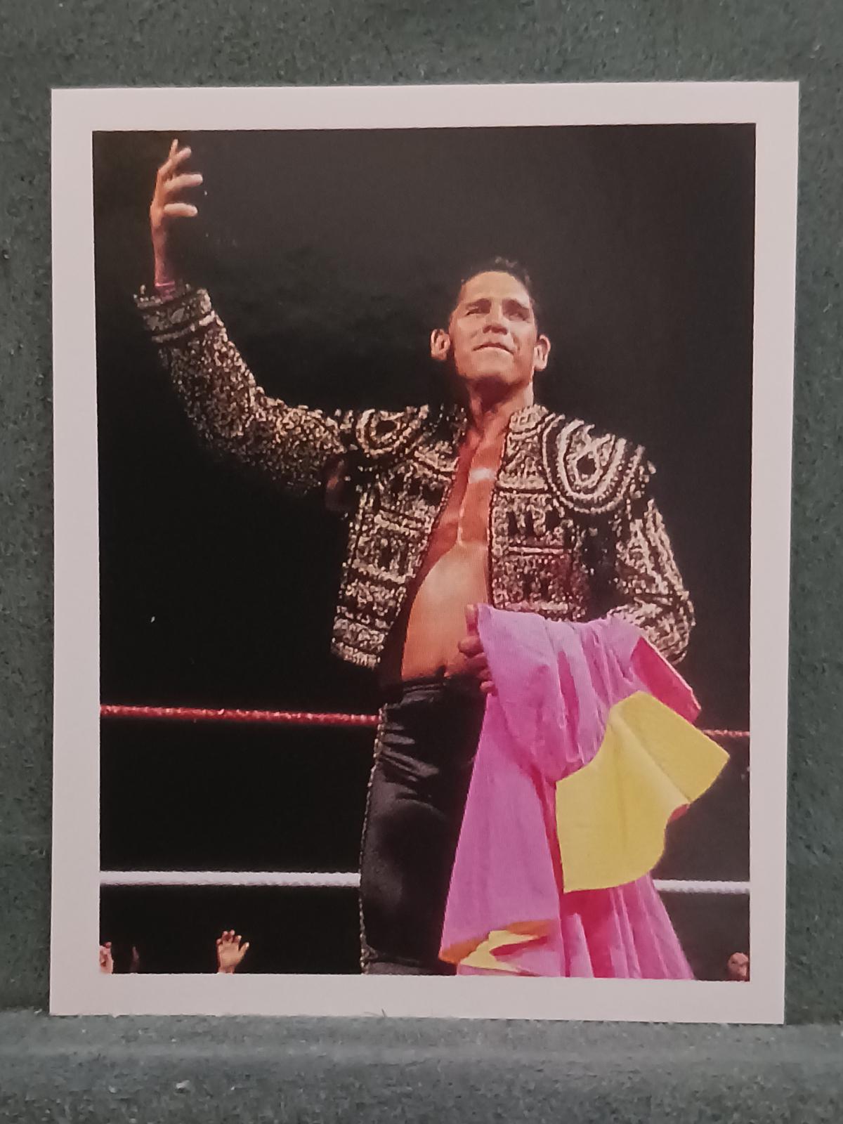 El Matador #134 Wrestling Cards 1992 Merlin WWF Stickers