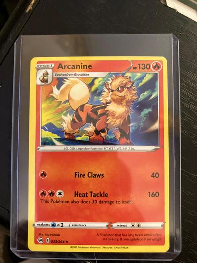 Arcanine #33 photo