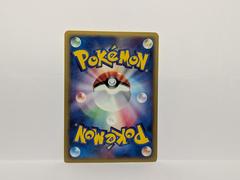 Back | Pichu [E3 E-Reader - Japanese Back] Pokemon Promo