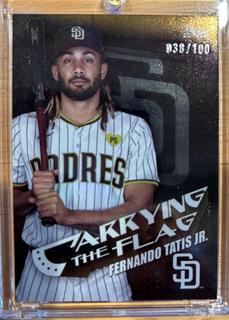 Fernando Tatis Jr.