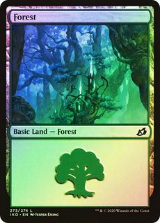 Forest