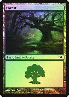 Forest