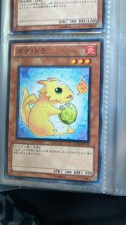 Poki Draco GENF-JP031
