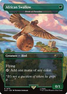 Birds Of Paradise