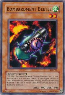 Bombardment Beetle PSV-087