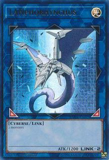 LANphorhynchus DUDE-EN021