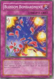 Blossom Bombardment TSHD-EN074