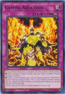 Gemini Ablation TOCH-EN019