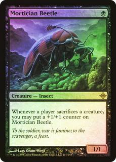 Mortician Beetle