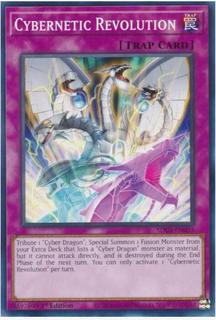 Cybernetic Revolution SDCS-EN035