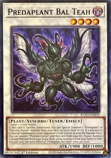 Predaplant Bal Teah BLZD-EN039
