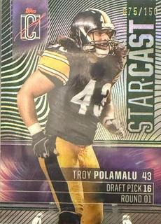 Troy Polamalu