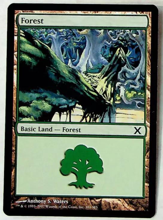 Forest #380 Magic 10th Edition