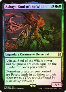 Ashaya, Soul of the Wild