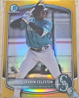 Felnin Celesten