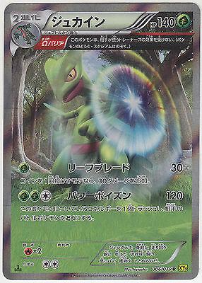 Sceptile #6 Pokemon Japanese Gaia Volcano