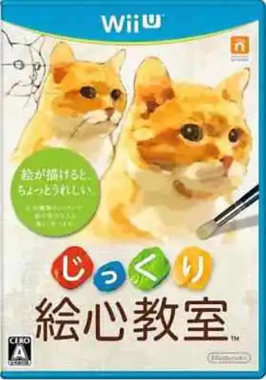Art Class Lesson JP Wii U
