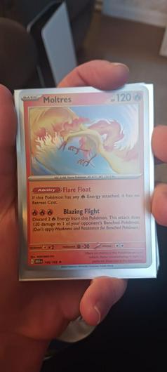 Moltres [Holo] #146 photo