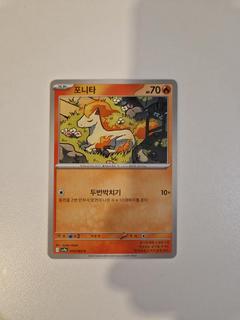 Ponyta