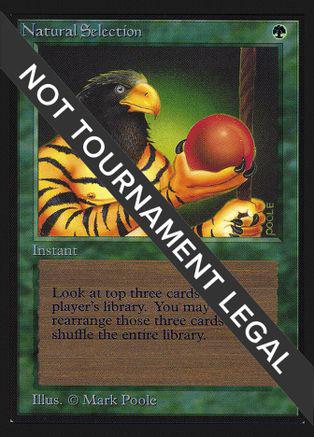 Natural Selection #213 Magic Collector's Edition