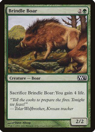 Brindle Boar Magic M12