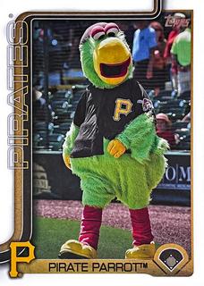Pirate Parrot