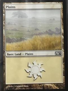 Plains