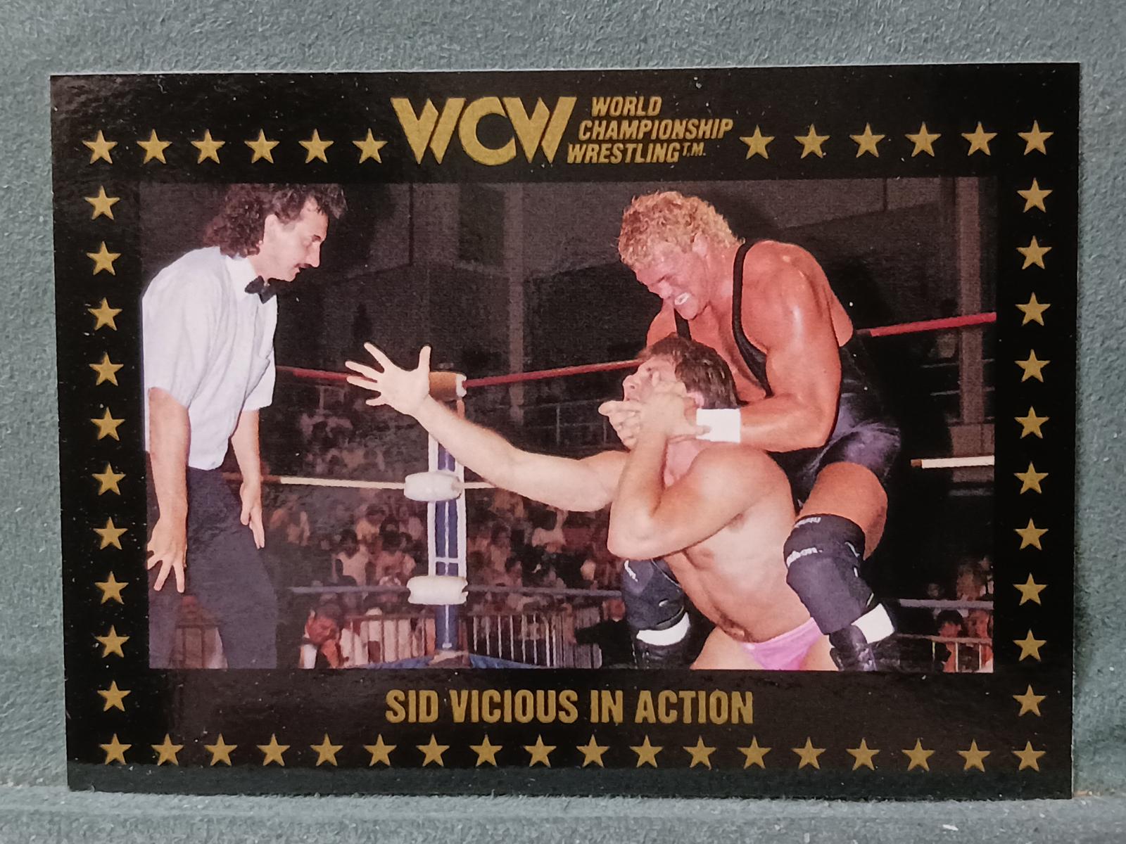 Sid Vicious in Action #43 Wrestling Cards 1991 Championship Marketing WCW