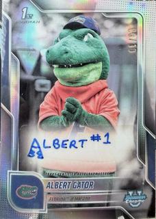 Albert Gator
