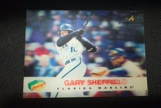 Gary Sheffield