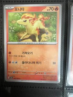 Ponyta