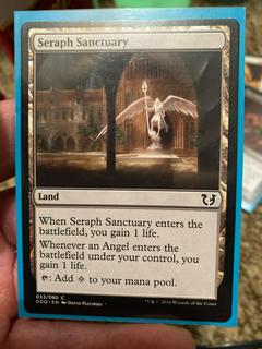 Seraph Sanctuary