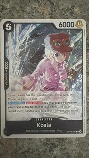 Koala OP13-081