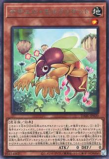 Naturia Mole Cricket DABL-JP020