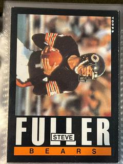 Steve Fuller