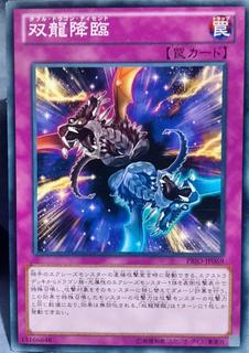 Double Dragon Descent PRIO-JP069