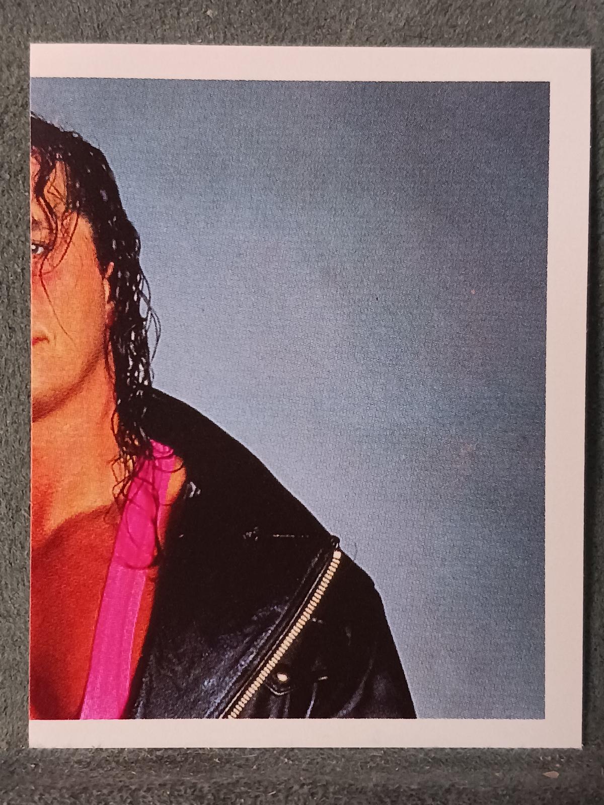 Bret Hart #44 Wrestling Cards 1992 Merlin WWF Stickers