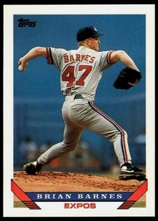 Brian Barnes